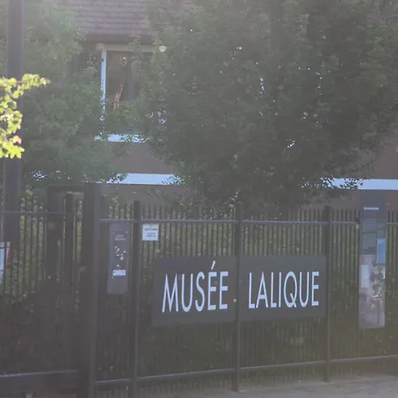 Des Mesanges Hotel Meisenthal