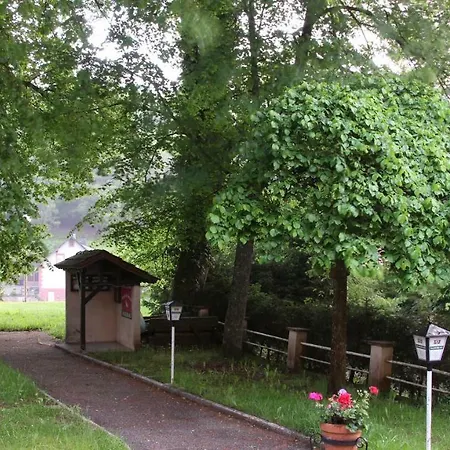 Des Mésanges Hotel Meisenthal
