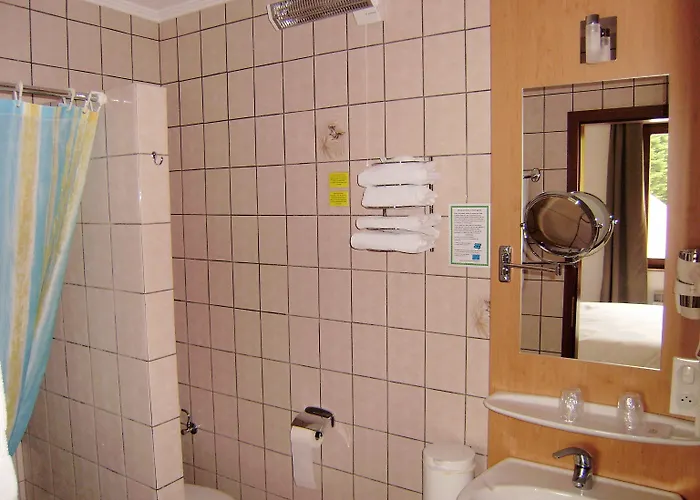 Des Mesanges 2* Meisenthal