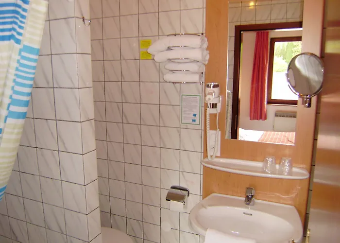 Des Mesanges Meisenthal