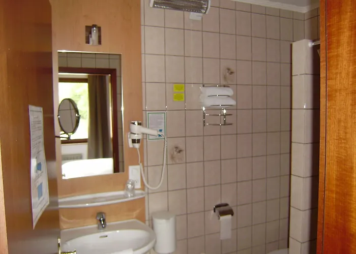 Des Mesanges Hotel Meisenthal