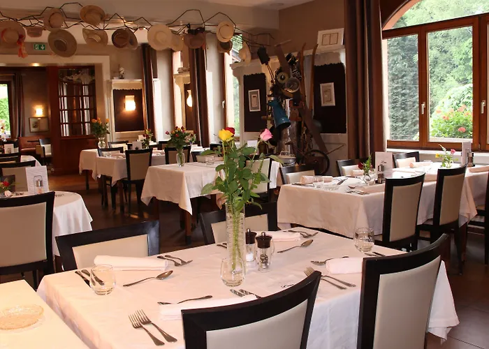 Des Mesanges Hotel Meisenthal