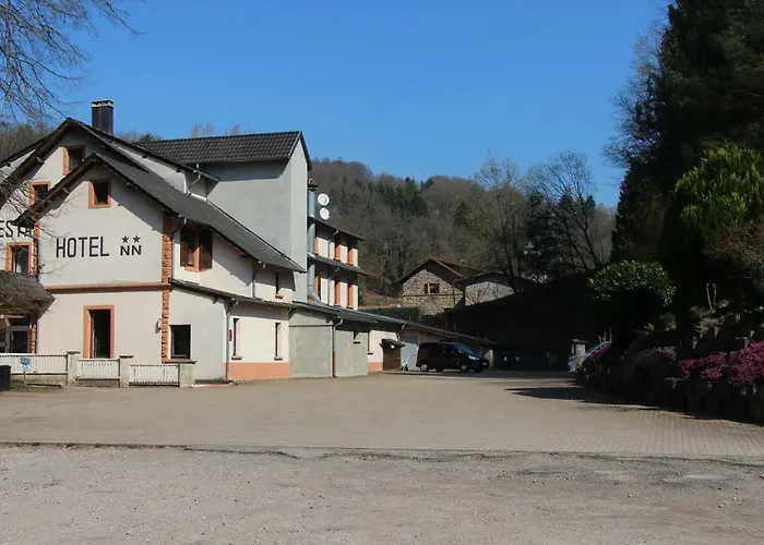 Des Mesanges 2* Meisenthal