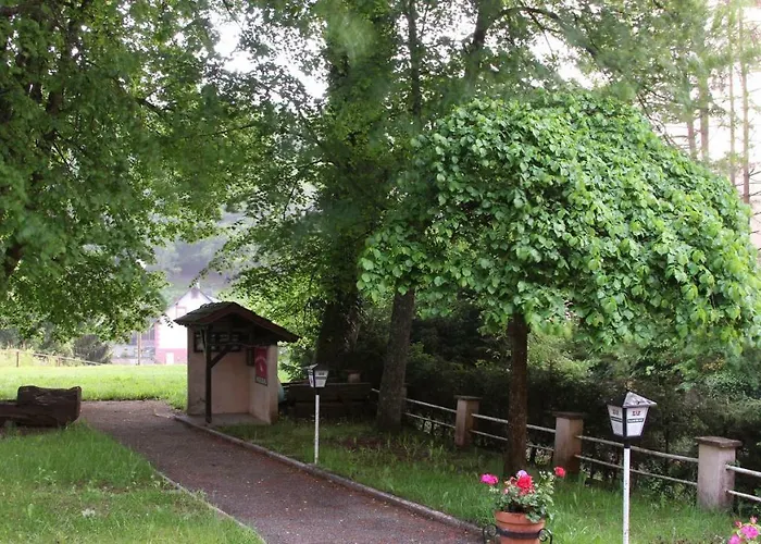 Des Mesanges Hotel Meisenthal